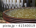 雨 41540019
