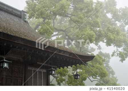 金毘羅 雨a 金毘羅 雨a 41540020