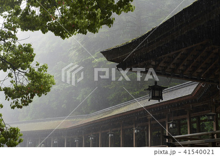 金毘羅　雨b 41540021