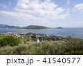 小豆島　オリーブa 41540577