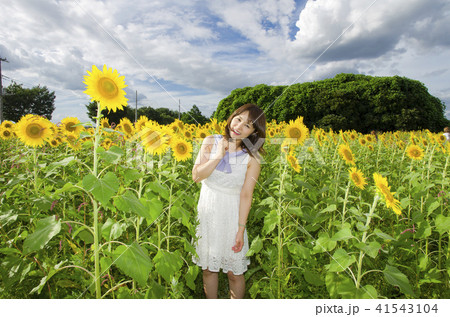 ひまわり畑を散策する女性 41543104