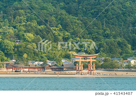 宮島の鳥居 宮島の鳥居 41543407