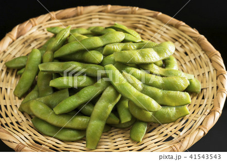 枝豆 41543543