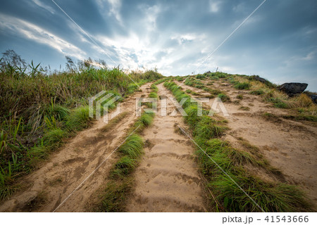 View of the walk way to the top of Phu Chi Fa. 41543666