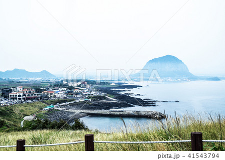 海 海岸 草原 41543794