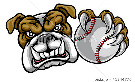 Bulldog Dog Holding Baseball Ball Sports Mascotのイラスト素材