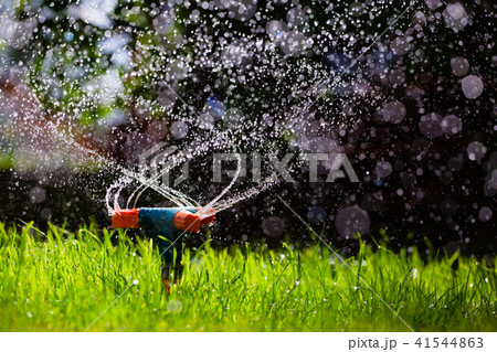 Rotating garden sprinkler watering grass 41544863