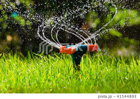 Garden sprinkler watering grass 41544893