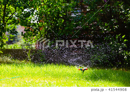 Garden sprinkler watering grass 41544908