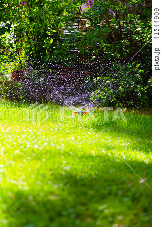 Rotating garden sprinkler watering grass 41544909