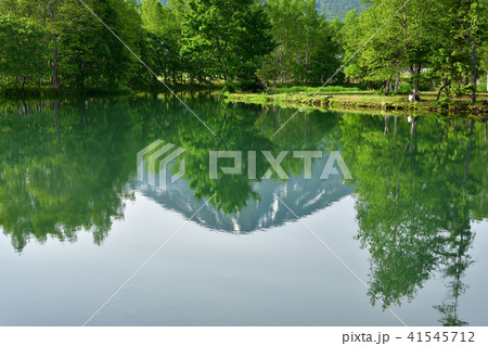 北海道倶知安町の羊蹄の湧水池の朝の風景を撮影 41545712