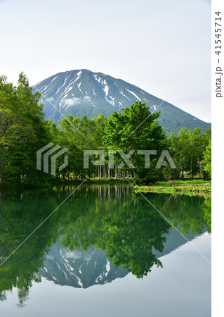 北海道倶知安町の羊蹄の湧水池の朝の風景を撮影 北海道倶知安町の羊蹄の湧水池の朝の風景を撮影 41545714