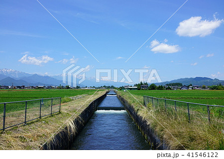 小さな堰と水田、北アルプス（彩度高め）　北安曇郡池田町 41546122
