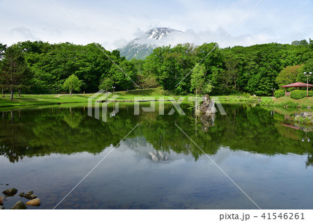 北海道京極町の羊蹄山吹き出し湧水公園の朝の風景を撮影 41546261
