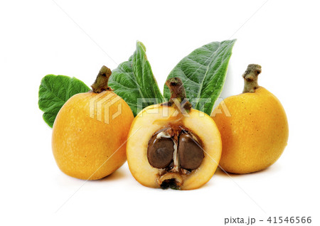 Medlars produced with organic cultivation Medlars produced with organic cultivation 41546566