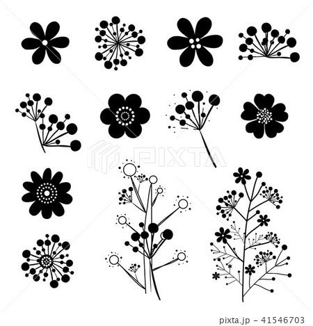Vintage Nature Flower Icon Black Vector Vintage Nature Flower Icon Black Vector 41546703