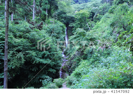 秩父華厳の滝 秩父華厳の滝 41547092