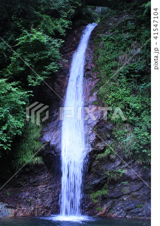秩父華厳の滝 秩父華厳の滝 41547104