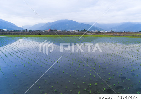 景色 風景 アジア人 41547477