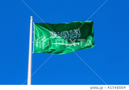 Flag of Saudi Arabia waving in the wind Flag of Saudi Arabia waving in the wind 41548004