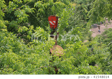 Crane hook and tree 41548014