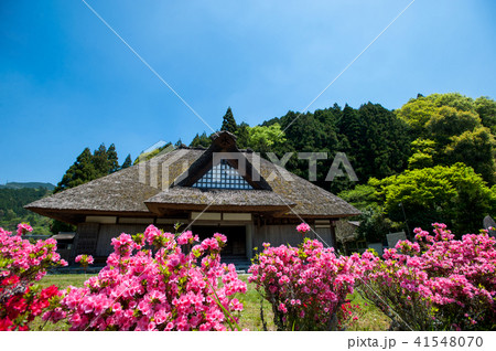 山の生活 山の生活 41548070
