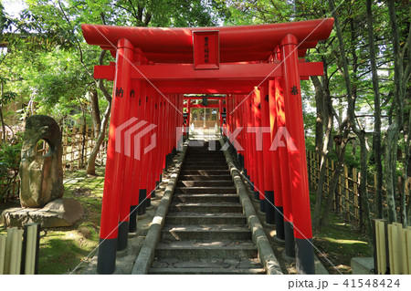 愛知県　名古屋　豊彦稲荷社 41548424