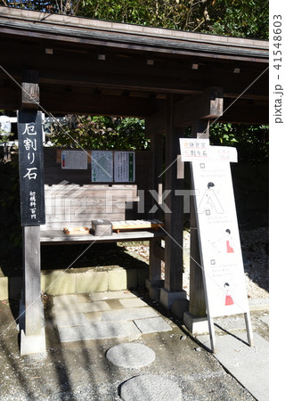 鎌倉宮厄割り石 41548603