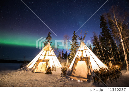 《カナダ　ノースウエスト準州》　イエローナイフ　ティッピーとオーロラ 41550227