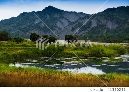 湿原 湿地 沼地 41550251
