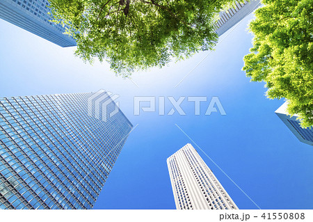 緑のあるオフィス街の都市風景 41550808