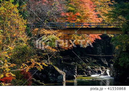 小戸名渓谷 (秋) 小戸名渓谷 (秋) 41550868