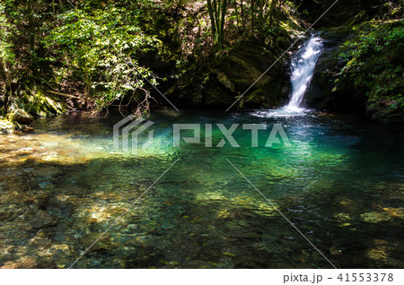 長崎県民の森 41553378