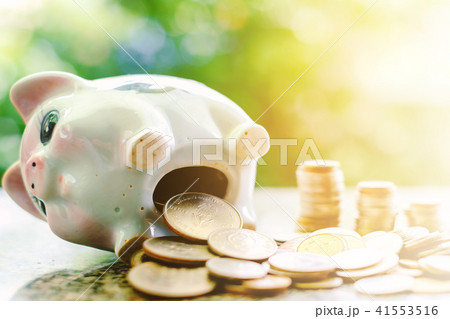 Saving piggy bank with coins 41553516