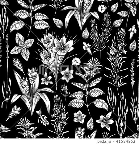 Graphic herbs and spices 41554852