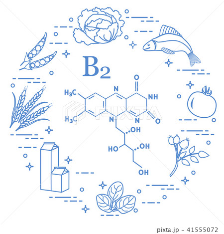 Foods rich in vitamin B2 Fish, peas and other. 41555072