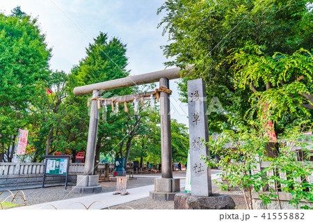 浅草神社（三社様） 41555882