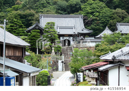 京都　柳谷観音（楊谷寺）山門 41556954