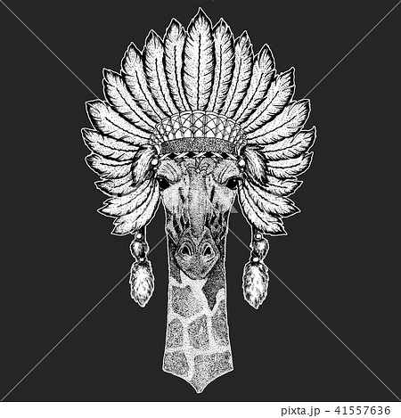 Camelopard, giraffe Traditional ethnic indian boho headdress Tribal shaman hat Ceremonial element 41557636
