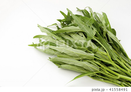 空心菜(クウシンサイ) 空心菜(クウシンサイ) 41558491