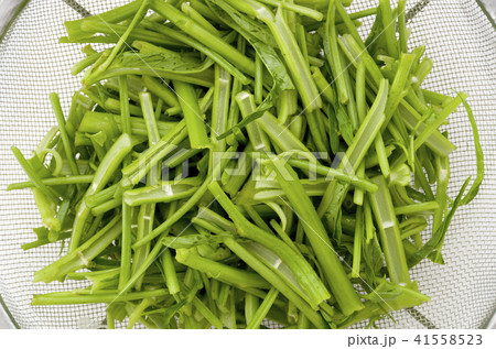 空心菜(クウシンサイ)の茎 空心菜(クウシンサイ)の茎 41558523