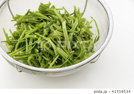 空心菜(クウシンサイ)の茎 空心菜(クウシンサイ)の茎 41558534