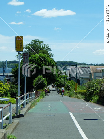 初夏の府中市 下河原緑道 41558841