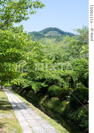 大文字山と新緑の疎水 銀閣寺道付近(京都・日本) 大文字山と新緑の疎水 銀閣寺道付近(京都・日本) 41559001