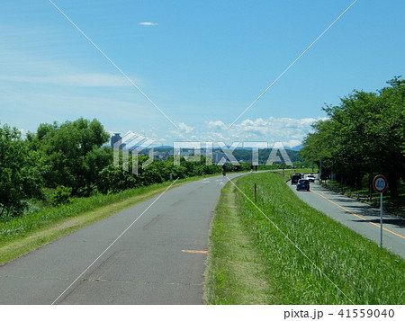 初夏の府中多摩川かぜのみち 41559040