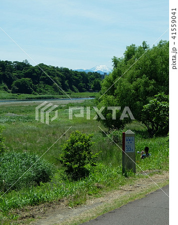 初夏の府中多摩川かぜのみち 初夏の府中多摩川かぜのみち 41559041