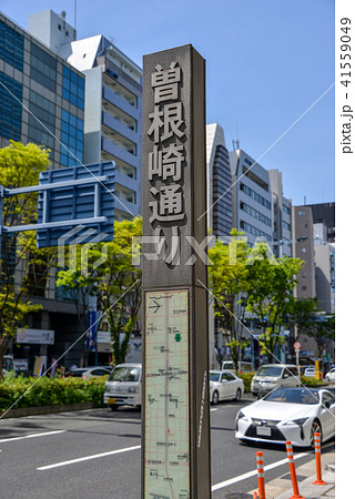 道標 道標 41559049