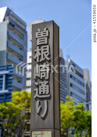 道標 41559050