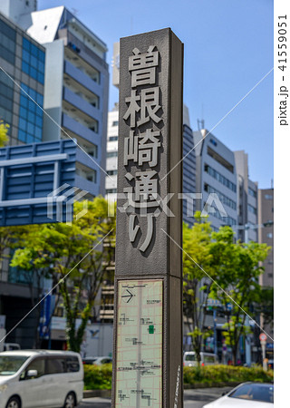 道標 道標 41559051