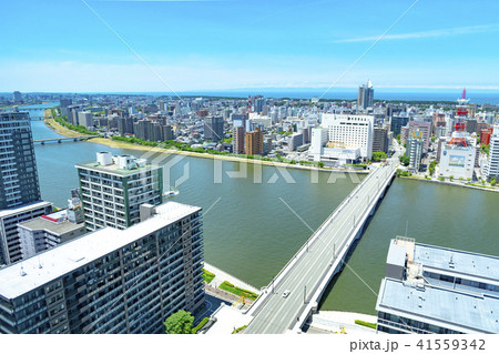 新潟市　萬代橋と街並み 41559342